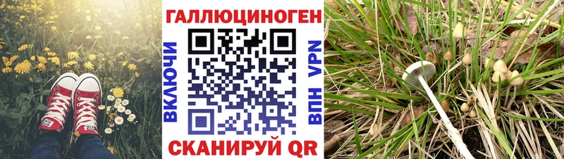 Псилоцибиновые грибы прущие грибы  гидра онион  Уварово  магазин  наркотиков 